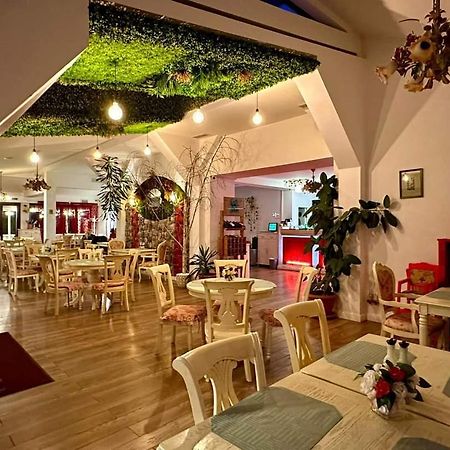 Vila Roxy Пояна-Брашов Екстер'єр фото