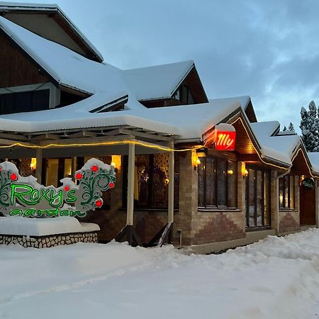 Vila Roxy Пояна-Брашов Екстер'єр фото