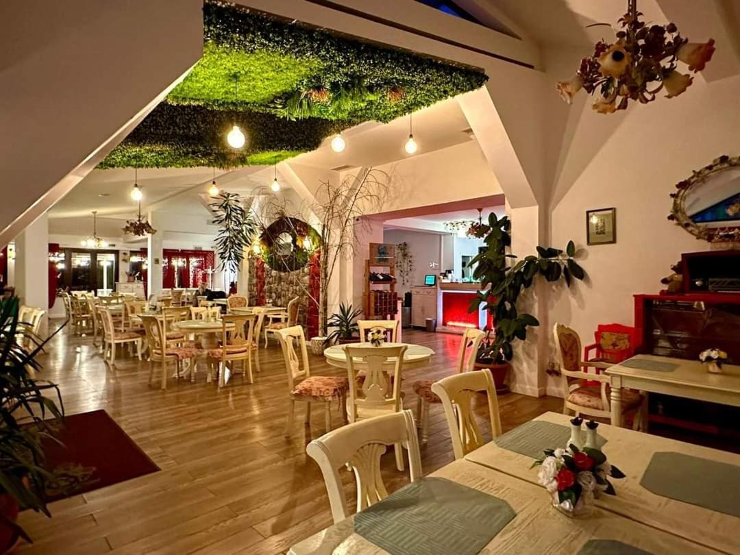 Vila Roxy Пояна-Брашов Екстер'єр фото